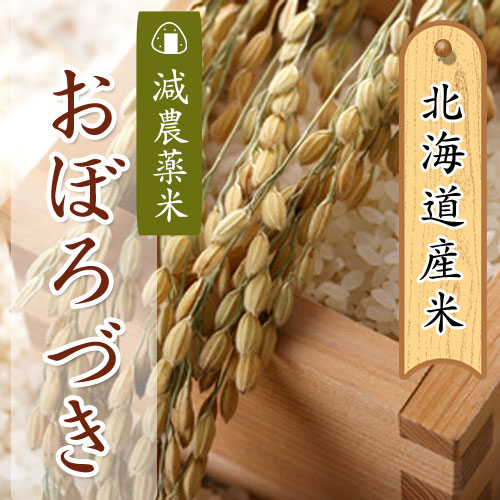 おぼろづき 減農薬米