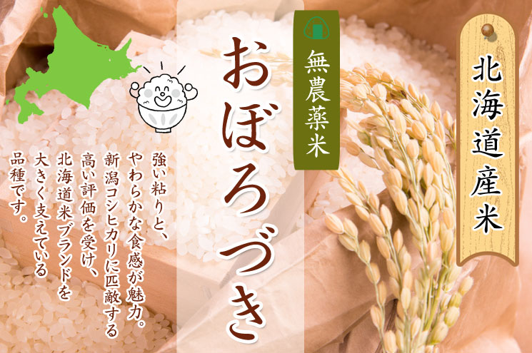 無農薬米おぼろづき 北海道産