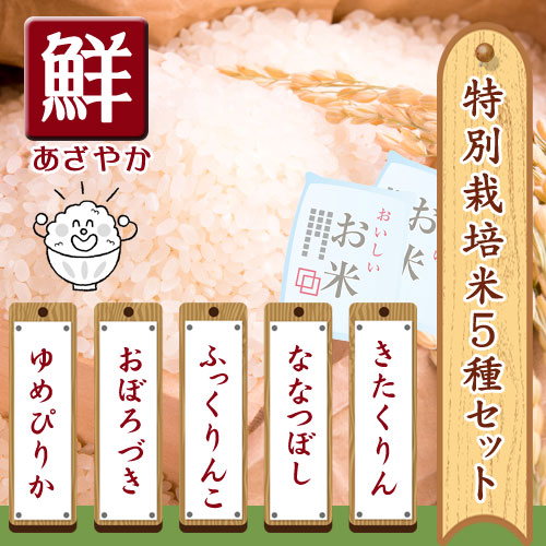 特別栽培米 ５種類お試しセット