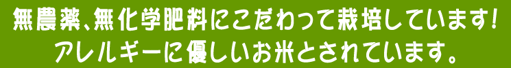 ふっくらとした炊き上がりなので、やわらかめの食感が好きな方に。
あっさりとした風味で、合わせるメニューを引き立てます。 無農薬、無化学肥料にこだわって栽培。
アレルギーに優しいお米とされています。