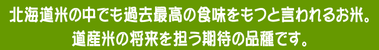 北海道米の中でも過去最高の食味をもつと言われるお米。
道産米の将来を担う期待の品種です。<br>
粘り・柔らかさ・甘さのバランスがとてもよく、とても食べやすいお米です。